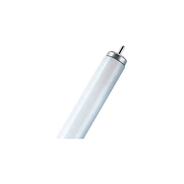 Scharnberger+Hasenbein Leuchtstofflampe T12 38x1500mm FA6 65W Ex 45238